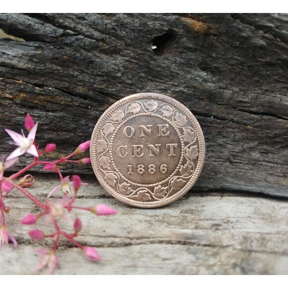 Antique 1886 Canada One Cent Coin, Vintage Queen Victoria Canadian Penny - Picture 6 of 10